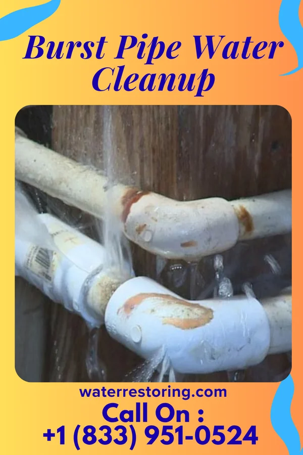 Burst Pipe Water Cleanup in Pullman, WV