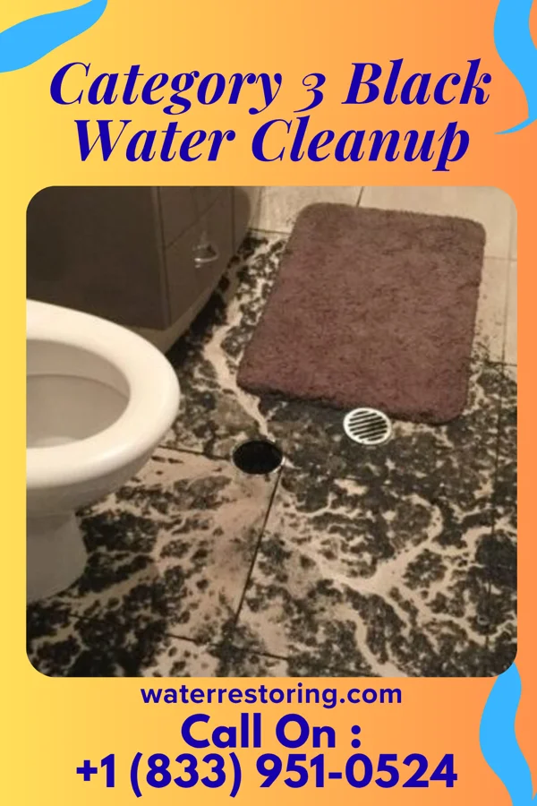 Category 3 Black Water Cleanup in Pullman, WV