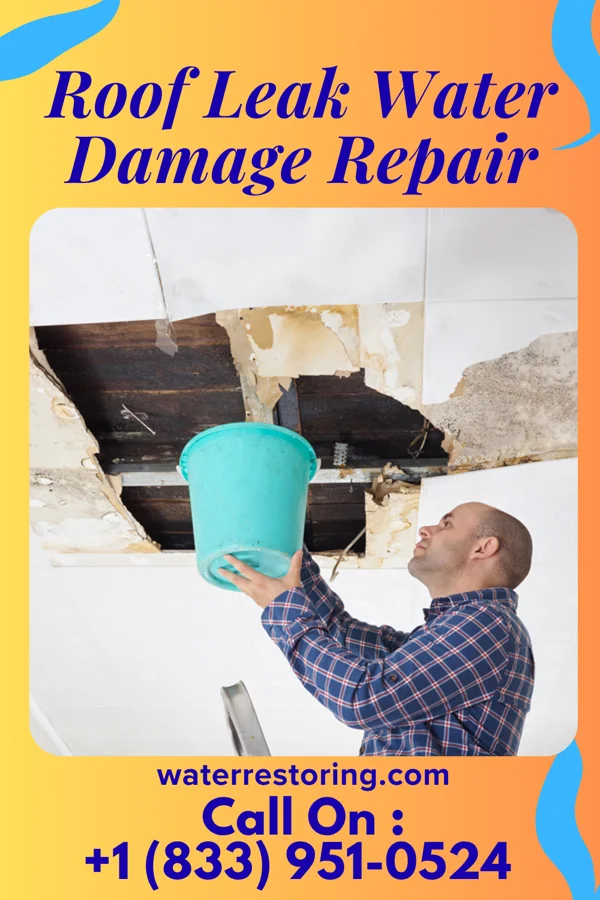 Roof Leak Water Damage Repair in Pullman, WV