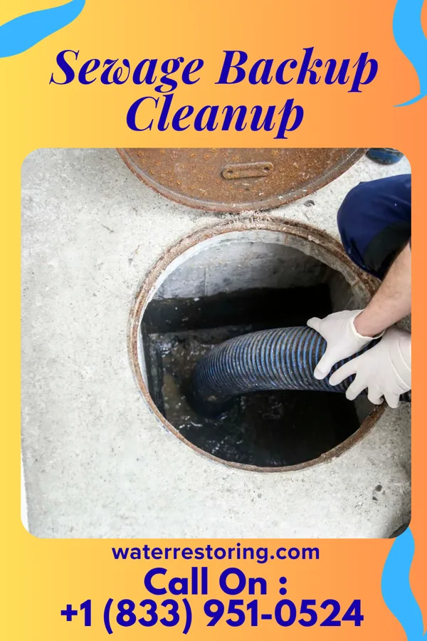 Sewage Backup Cleanup in Pullman, WV